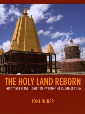 cover image of The Holy Land Reborn